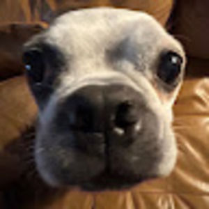 Meet your Posher, Lance